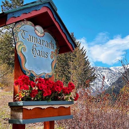 Tamarack Haus Hot Tub And Ev Charging Walk Dtwn! Villa Leavenworth Ngoại thất bức ảnh